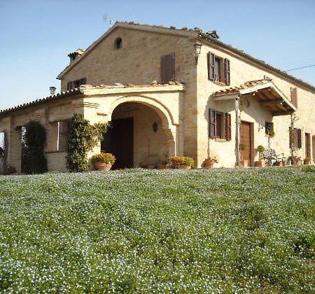 Cascinale La Mimosa Bed and Breakfast Cupramontana Exteriör bild