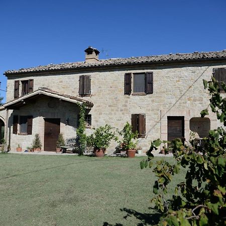 Cascinale La Mimosa Bed and Breakfast Cupramontana Exteriör bild