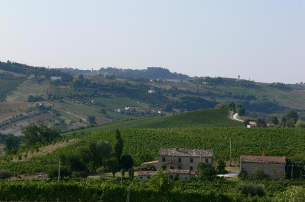 Cascinale La Mimosa Bed and Breakfast Cupramontana Exteriör bild
