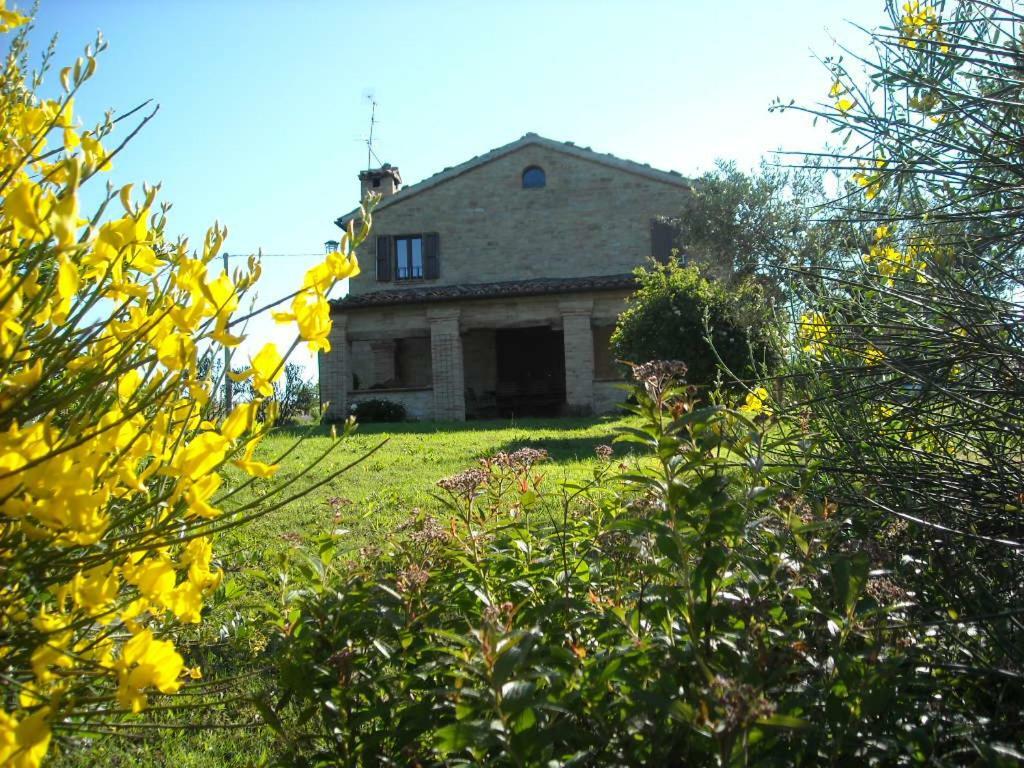 Cascinale La Mimosa Bed and Breakfast Cupramontana Exteriör bild