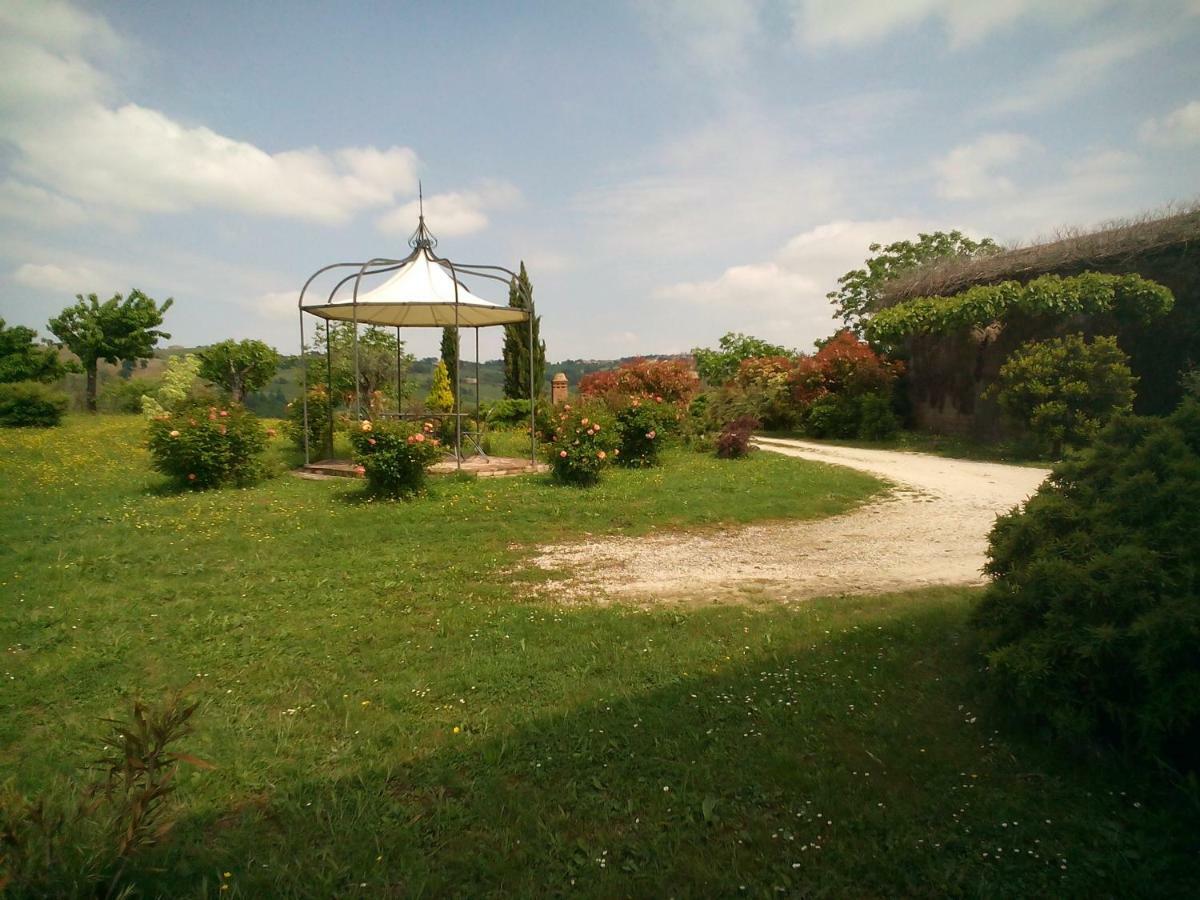 Cascinale La Mimosa Bed and Breakfast Cupramontana Exteriör bild